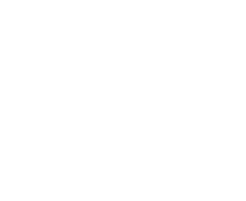 Trainsmania logo