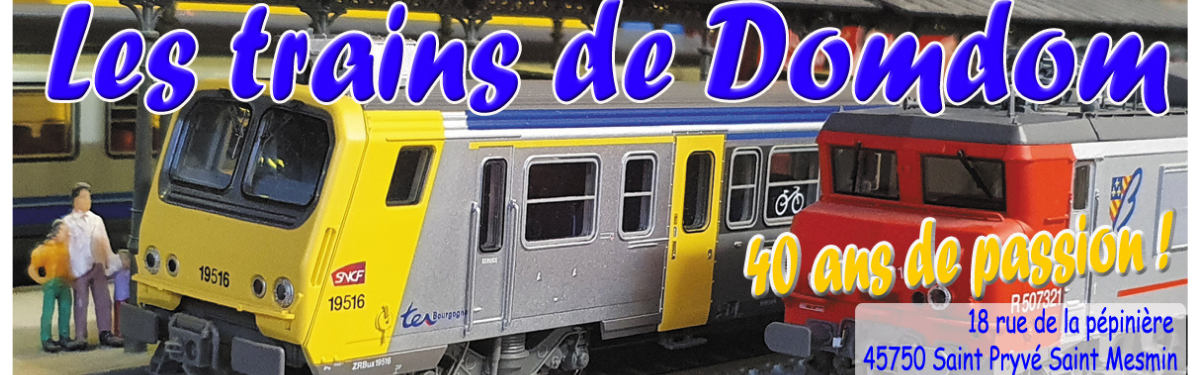 Les trains de domdom
